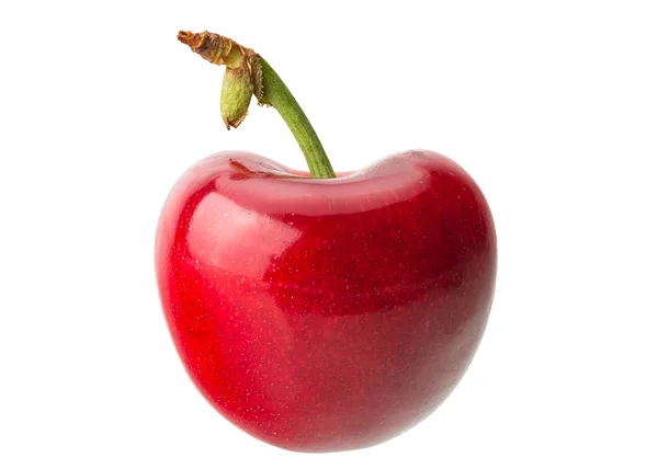 Čerstvé červené cherry — Stock fotografie