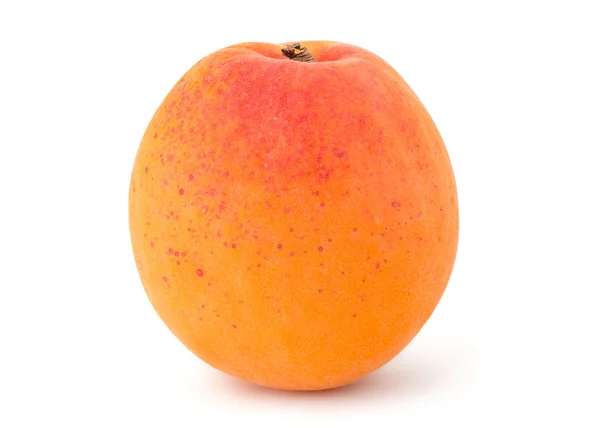 新鲜的黄杏 — 图库照片