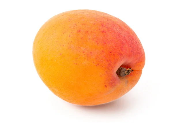 Fresh Yellow Apricot — Stock Photo, Image