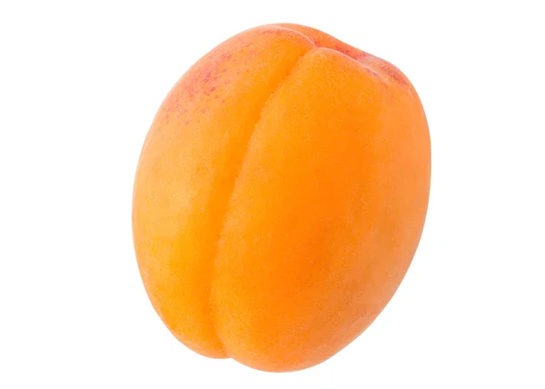 Verse gele abrikoos — Stockfoto