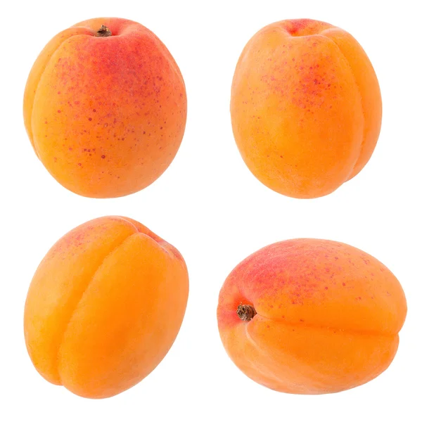 Verse gele abrikoos — Stockfoto