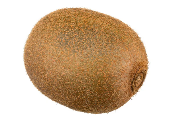 Fruto de Kiwi verde fresco — Fotografia de Stock