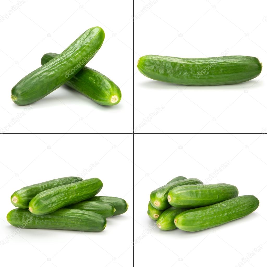 cuke collection
