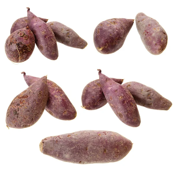 Batata doce roxa — Fotografia de Stock