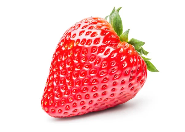 Eine frische Erdbeere — Stockfoto