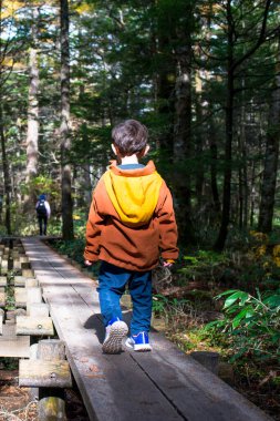 Güneşli bir günde, ulusal parktaki bir macera sırasında ormanda yürüyüş yapan, küçük tahta bir köprüyü geçen bir çocuğun dikey resmi..