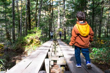 Bir çocuk ormanda yürüyüş yapıyor, küçük tahta bir köprüyü geçiyor, güneşli bir günde, ulusal bir parkta bir macera sırasında,.