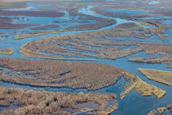 Aerial view of flooded trees during spring flooding — Stock Photo, Image