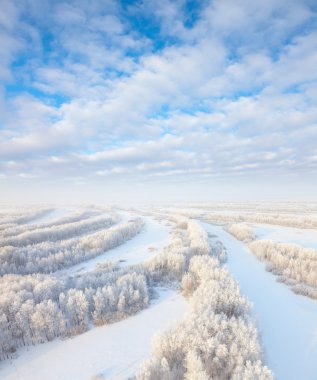 ormanda hoarfrost, üstten görünüm