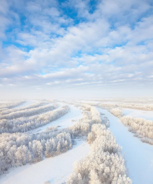 Floresta em hoarfrost, vista superior — Fotografia de Stock