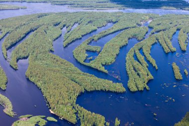 Orman nehir Bahar, en iyi görünümü