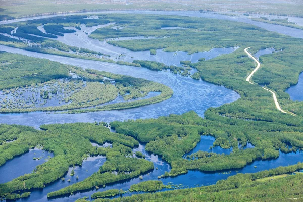 Заміська дорога в затопленій лісовій рівнині — стокове фото