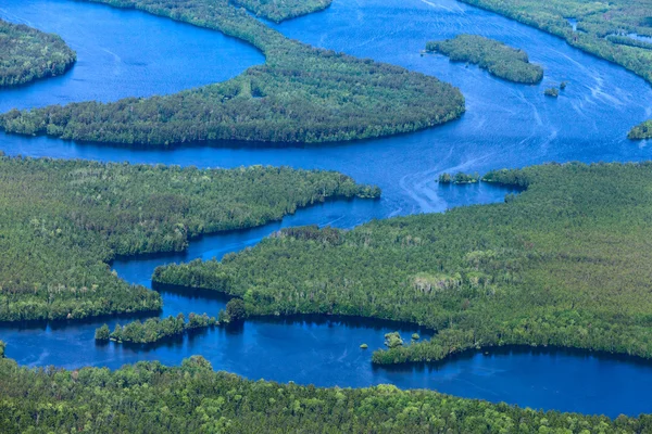 Forest lake in het voorjaar van — Stockfoto