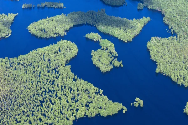 Lago floresta na primavera — Fotografia de Stock