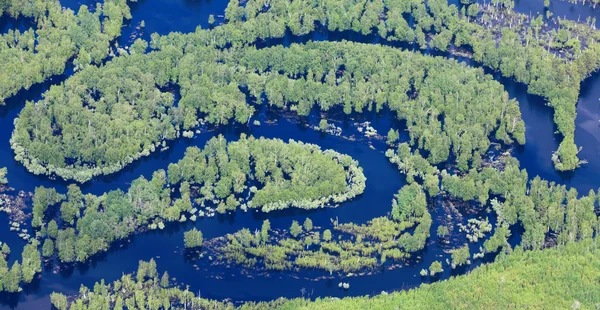 Lesní řeka v jaro, horní pohled — Stock fotografie