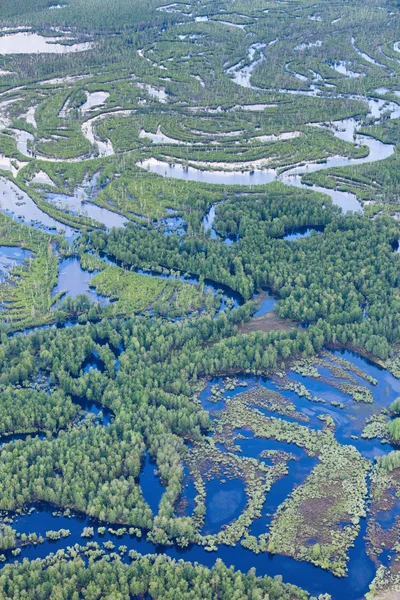 Forest river in spring, top view — Stock Photo, Image