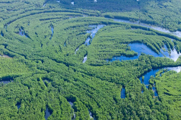 Forest river i vår topp vy — Stockfoto