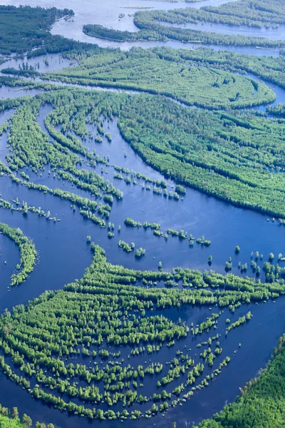 Rio da floresta na primavera, top vista — Fotografia de Stock