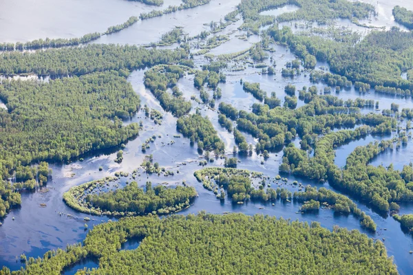 Forest river i vår topp vy — Stockfoto
