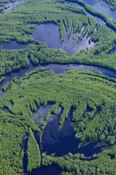 Forest river i vår topp vy — Stockfoto