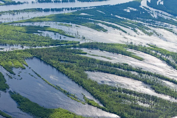 Forest river in spring, top view — Stock Photo, Image