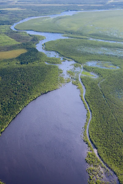 Forest river i vår topp vy — Stockfoto