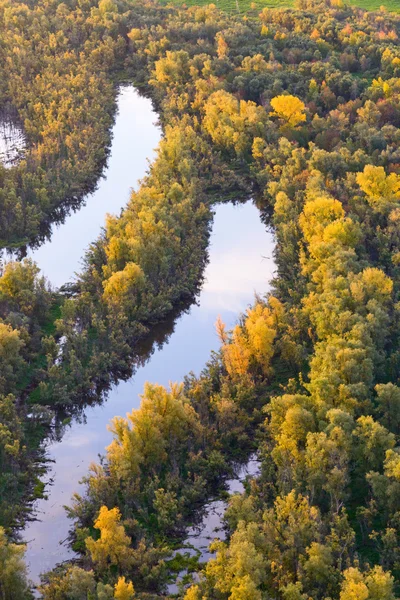 Vista superior dos lagos de floresta no outono — Fotografia de Stock