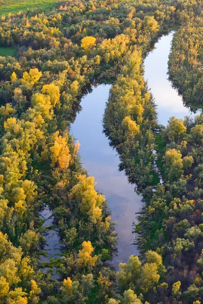 Bovenaanzicht van forest meren in de herfst — Stockfoto