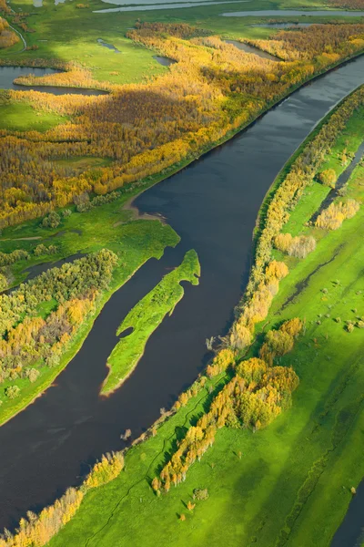 Top view of forest river in autumn — Stock Photo, Image