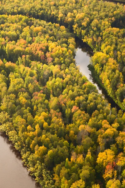 Vista superiore del fiume della foresta in autunno — Foto Stock