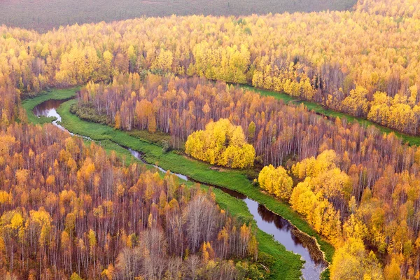 Vista superior dos lagos de floresta no outono — Fotografia de Stock