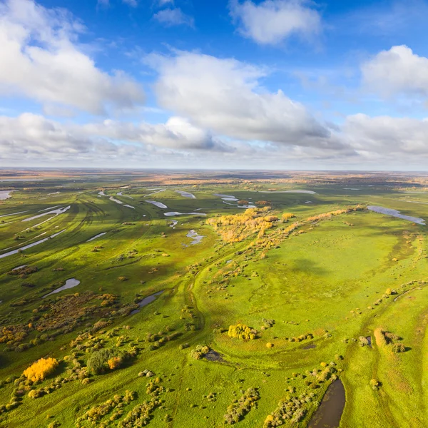 Weide in de herfst, bovenaan weergave — Stockfoto