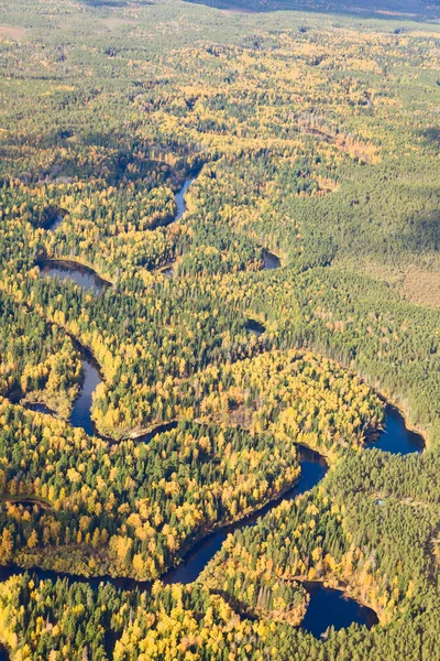 Bovenaanzicht van bos rivier in de herfst — Stockfoto