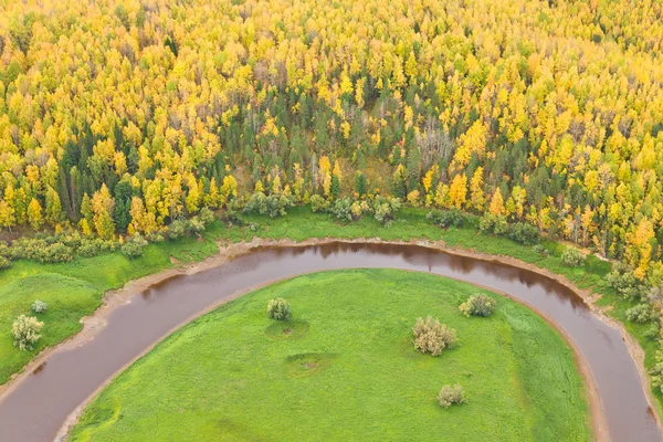 Pohled shora lesního jezírka na podzim — Stock fotografie