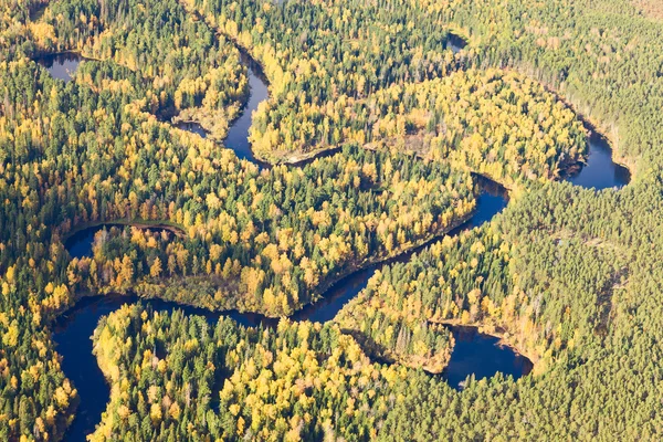 Top view of forest river in autumn — Stock Photo, Image