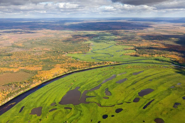 Вид сверху Лесная река осенью — стоковое фото