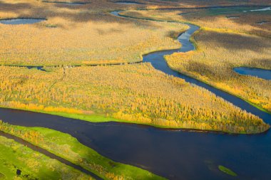 Sonbaharda orman Nehri'nin Üstten Görünüm