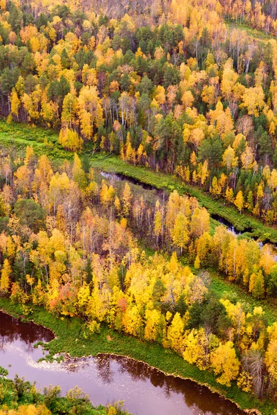 Top view of forest lakes in autumn — Stock Photo, Image