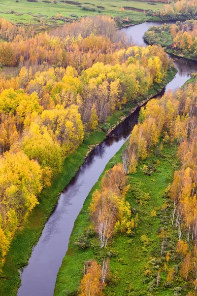 Top view of forest lakes in autumn — Stock Photo, Image