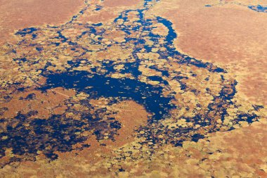 Sonbahar, üst görünümünde bataklık