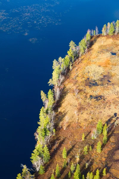 Forest lake, top view — Stock Photo, Image