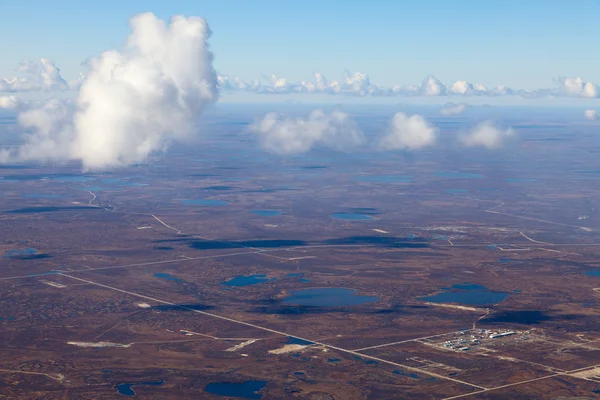 Tundra in autumn, top view — Stock Photo, Image