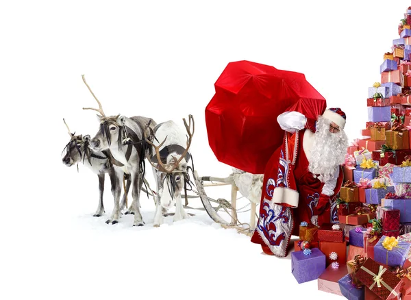 Santa Claus, jeho jelen a mnoha vánočními dárky — Stock fotografie