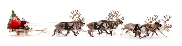 Santa Claus is sitting in a deer sleigh — Stock Photo, Image