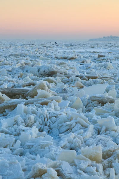 Mogotes en un gran río de hielo —  Fotos de Stock