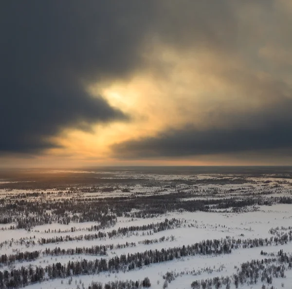 Grumlig sunset ovan skogsbevuxna vanligt, top view — Stockfoto