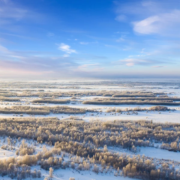 冬の日、平面図中森 — ストック写真