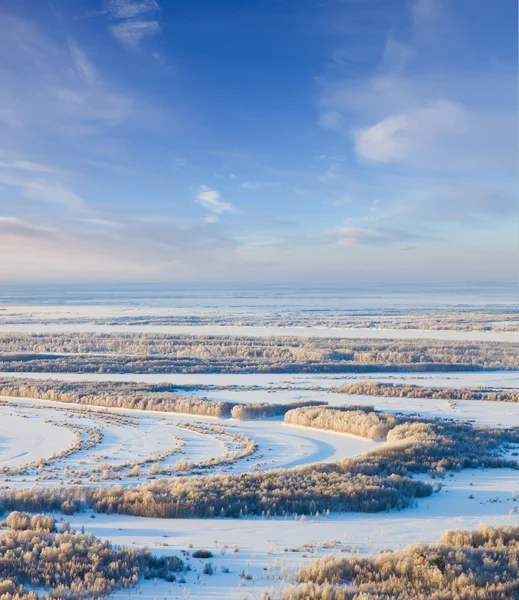 Forest river koude winter overdag, bovenaanzicht — Stockfoto
