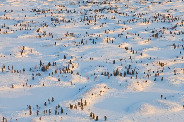 Tundra wzgórza w chłodne zimowe wieczory, widok z góry — Zdjęcie stockowe