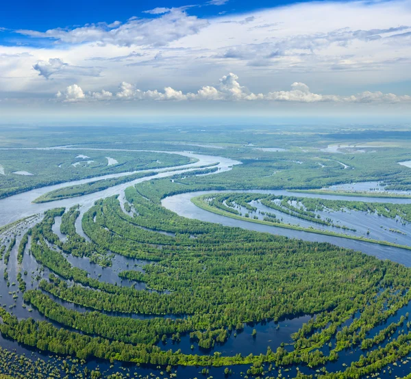 Forest river i översvämningar, top Visa — Stockfoto